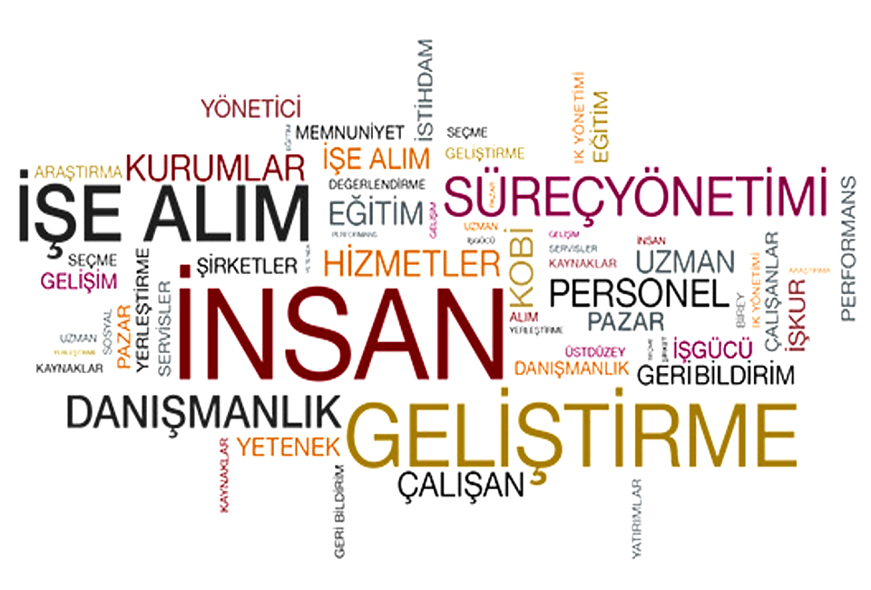 feniks digital insan kaynaklari